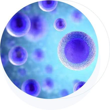 不朽情缘(中国游)最新官网入口