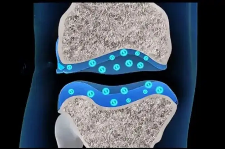 不朽情缘(中国游)最新官网入口