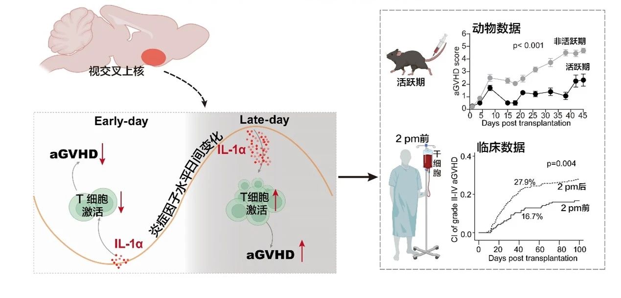 不朽情缘(中国游)最新官网入口