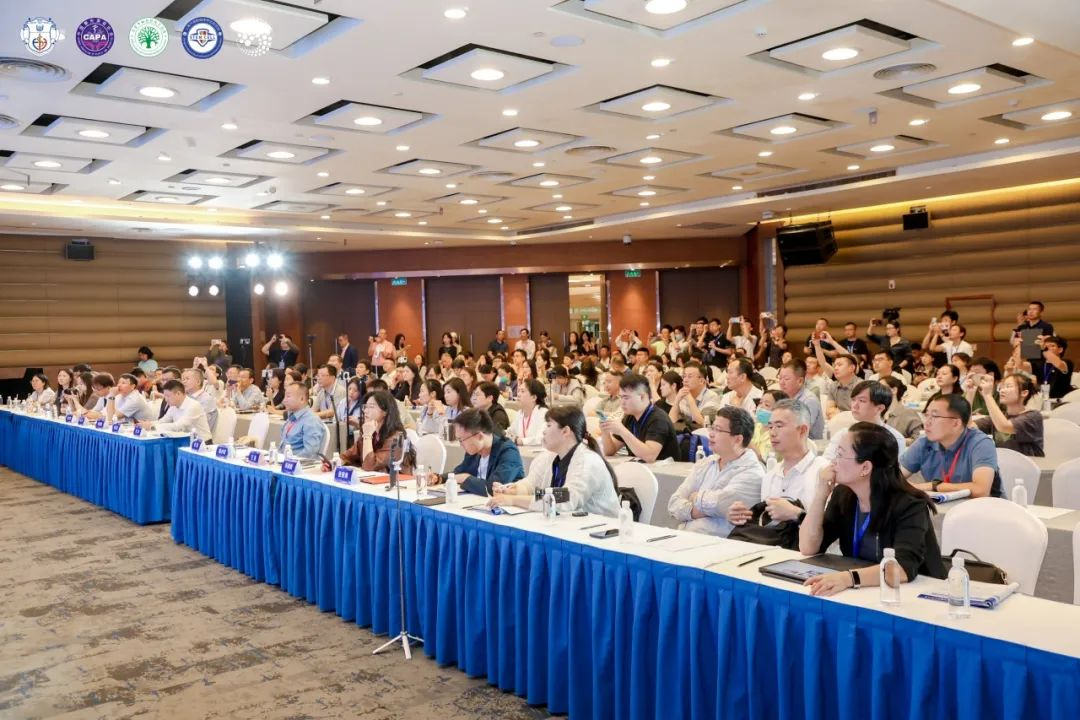 不朽情缘(中国游)最新官网入口